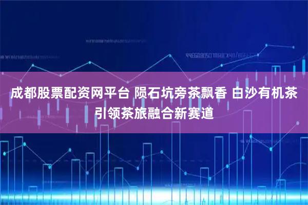 成都股票配资网平台 陨石坑旁茶飘香 白沙有机茶引领茶旅融合新赛道